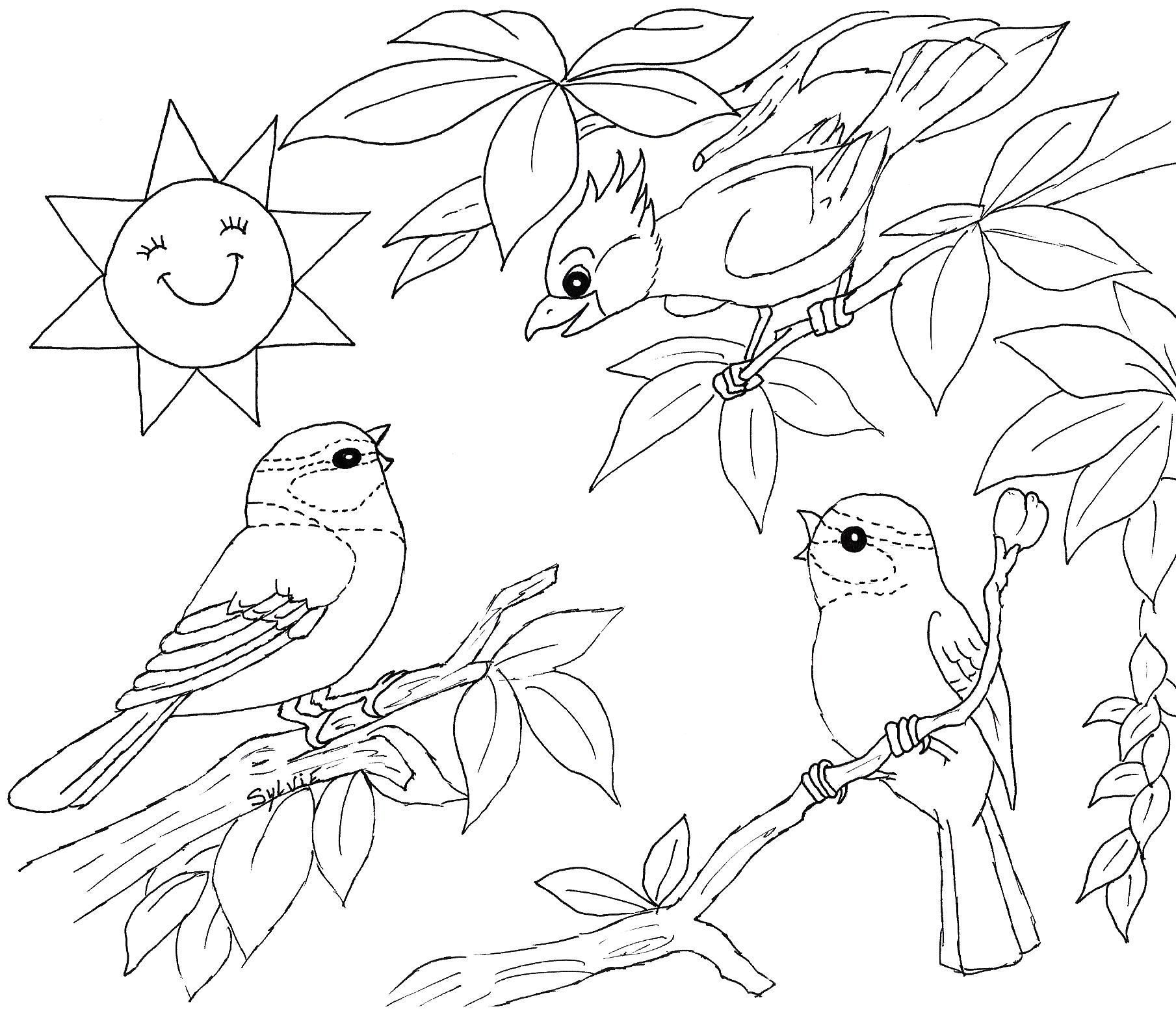 Nature Scenery Coloriage Paysage De Printemps A Imprimer